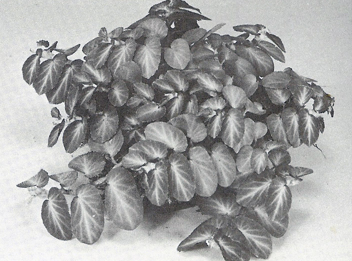 B. U009